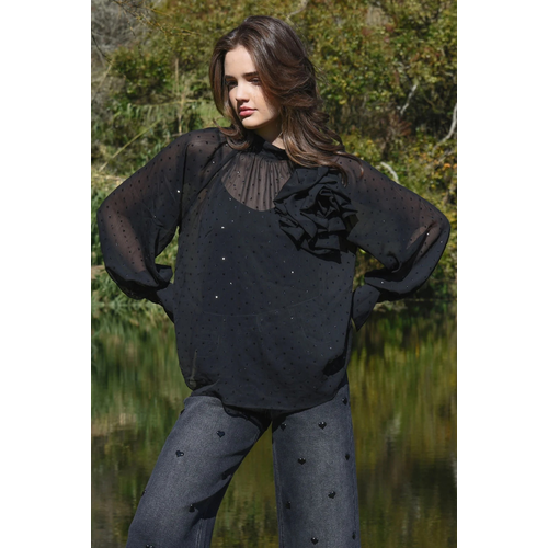 Coop-Sew Fancy Blouse